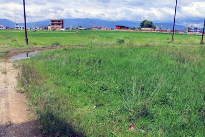 Plotted land for sale in Harisiddhi 28 lalitpur